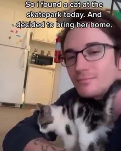 Finding a new best friend