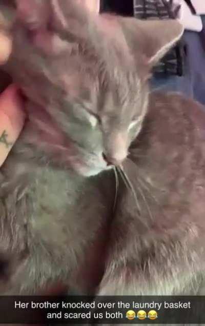 She got scared when her brother knocked over the laundry basket