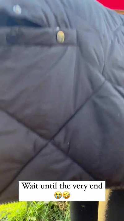 From complete joy, to utter anguish