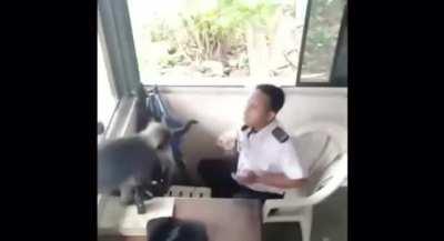 Share %70 to monke and %30 to human