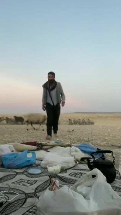 2 Turks fighting over food