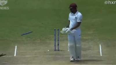 Stumps rattle and scatter — pick your favourite moment!