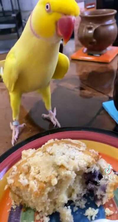 Just a tiny piece won’t hurt anyone!