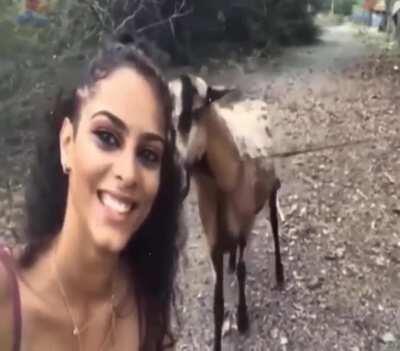 HMC while I take a pounding