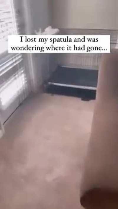 He’s just looking after it for her 😂