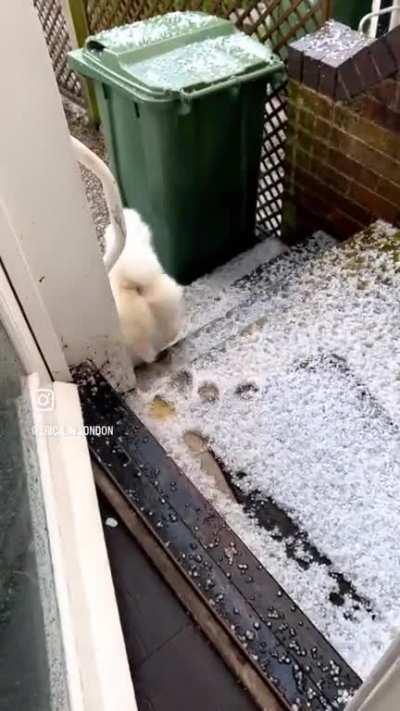 Weatherman with a fear of weather 🫣