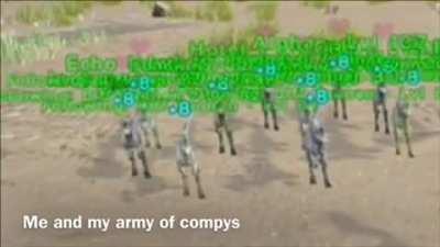 Compys of Poland second to none