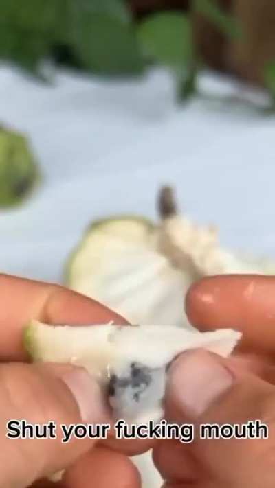 They're starting to fight now? D: