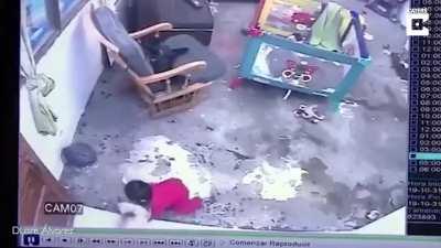 Cat saves toddler from falling down stairs