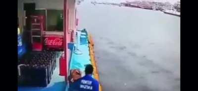 It’s all in the reflex