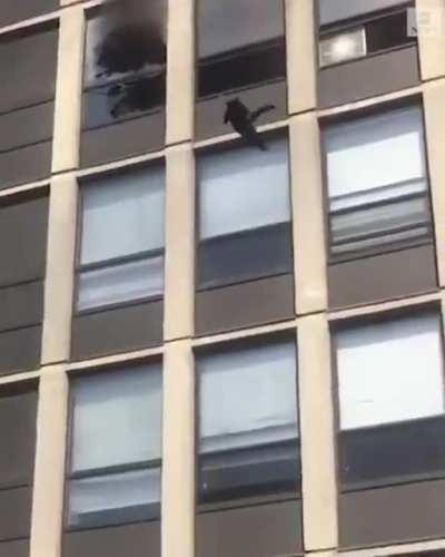 EIGHT LIVES LEFT: Footage shared by Chicago firefighters shows a cat leaping out the 5th floor window of a burning apartment building—and then walking away unscathed. No injuries were reported in the blaze.