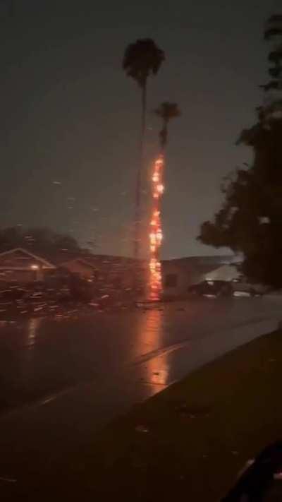 It’s like beauty in chaos