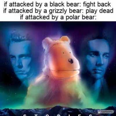 If it’s black, fight back. If it’s brown, lie down. If it’s white, good night.