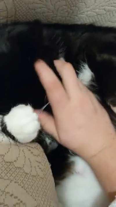 All the more to love