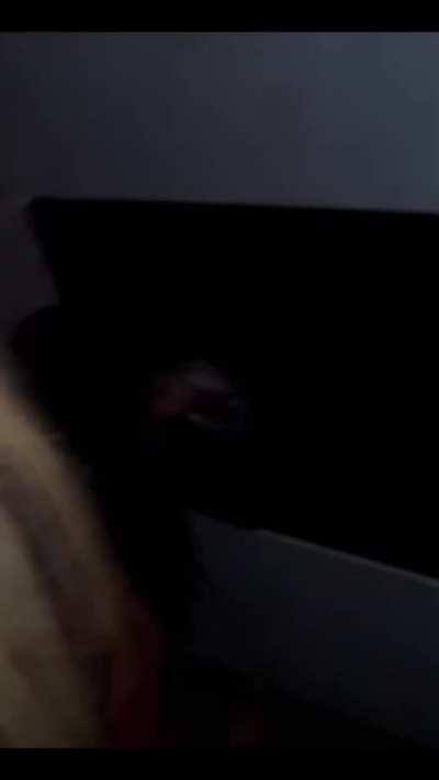 In one Gloryhole in one swing club with my big cock and big ass transex friend