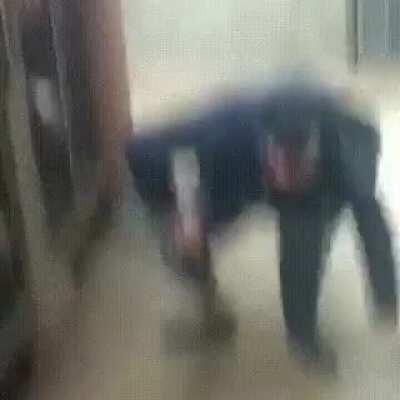 Idiot kicking dog in a cage