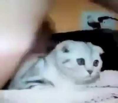 An interesting title