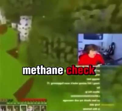 Methanol check
