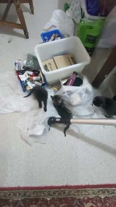 CHAOS AMONGST THE ART SUPPLIES!