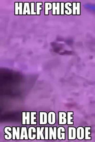 HOW ARE HE DO IT? HE DON'T HAVE A STOMACH😂😂