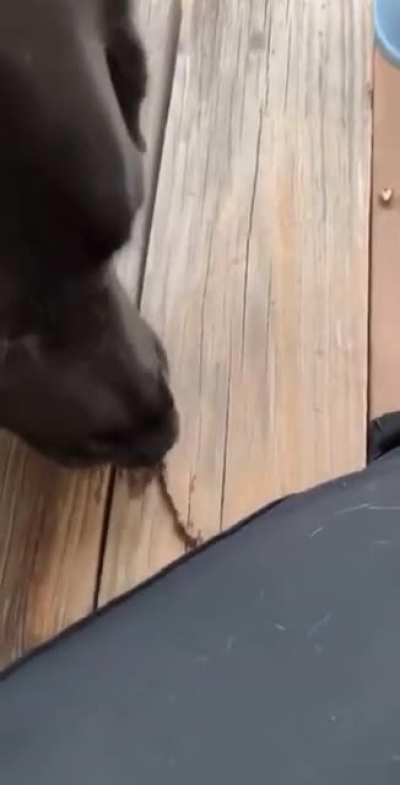 Those tippy taps of excitement