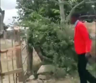 Agradeço muito quem puder me ajudar 👍