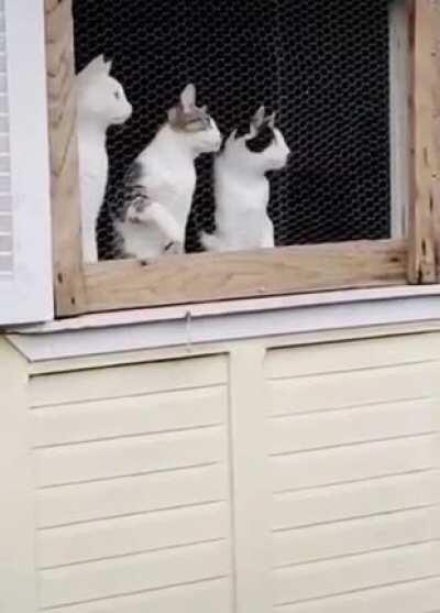 Best fan section ever.