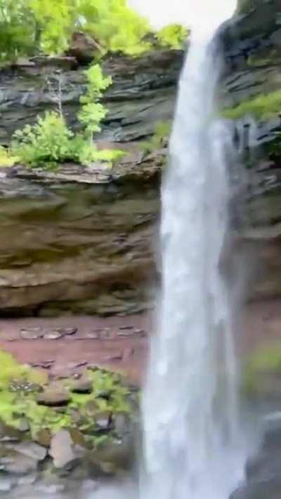 Baby sees waterfall for the first time.