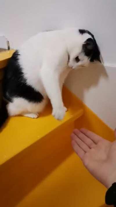 Touch tha hand.. Almost