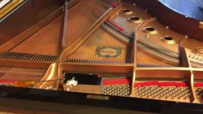 Came across this at work today. None of my other friends would understand. (1998 Yamaha C1 Disklavier)