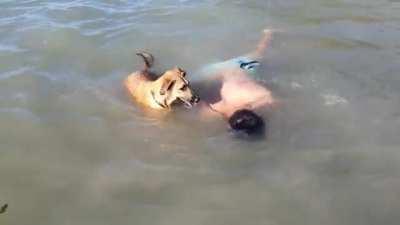 ViCiOuS HeLL HoUnD dRoWnS InNoCeNt MaN