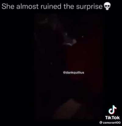 Main character almost ruins the surprise.