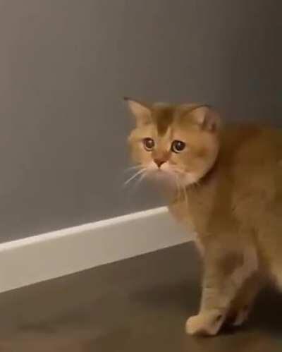 This is unacceptable human