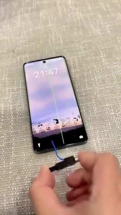 Blursed screen repair