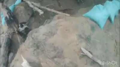 The atmosphere of fierce battles in Serebriansky forest in Luhansk region through the eyes of foreign volunteers as part of the DIU International Legion against Russian forces. Posted 04.09.2025