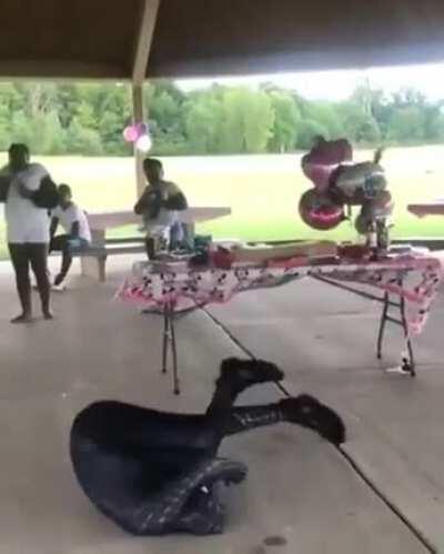 HMFT after I realise I’m not Spider-Man