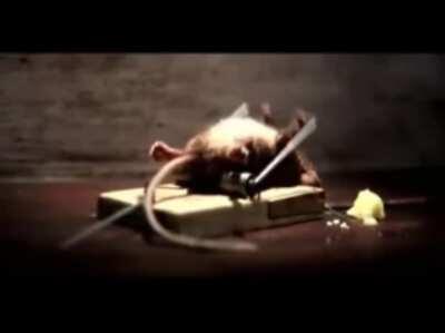 PUSH UP ‼️‼️