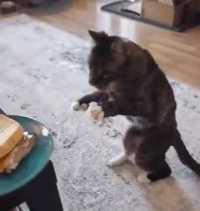 5 hari lagi sebelum raya