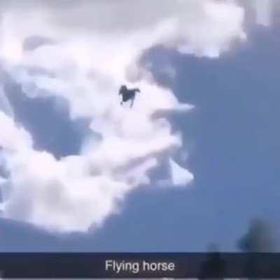 God is dead and FLYING HORSE is the replacement
