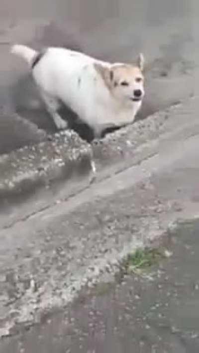 Probabilidade de 000000000,0000,010%