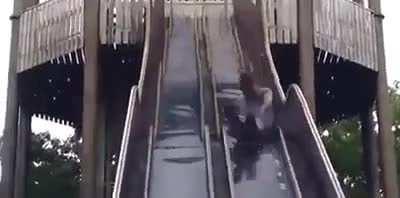 My portfolio the last week be like: