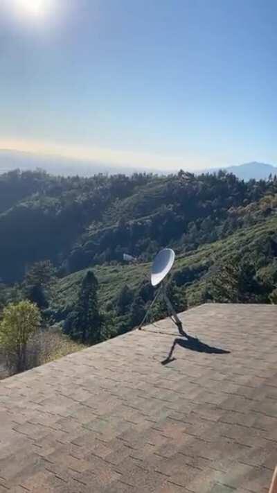 Fuslie hella underrated