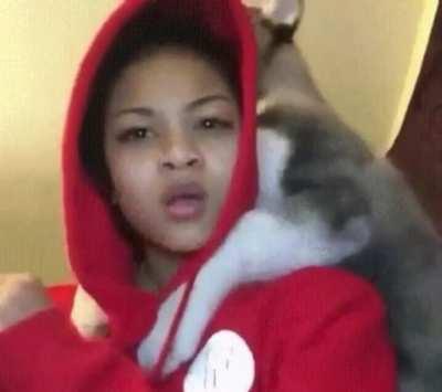 The human when the dog starts banging