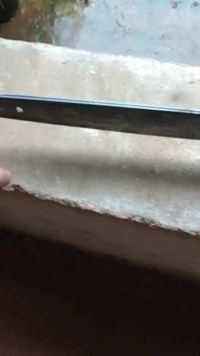 “Why did she leave me”