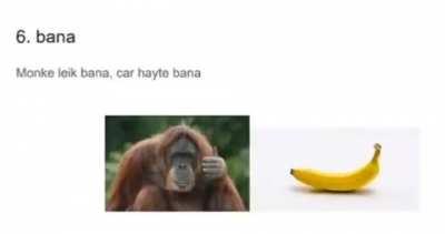 Top 10 reasons why monke is better than car