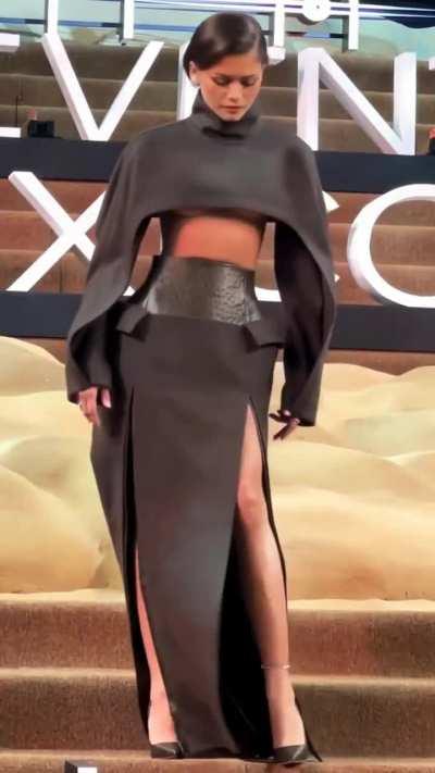 Dune Promo Red Carpet 📸