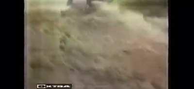 I’m having such a good time that I want to commit die