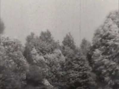 Sturmgeschütz IIIs engaging a column of Soviet T-34/85 tanks near the Courland Pocket circa September 1944