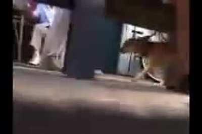 an interesting title