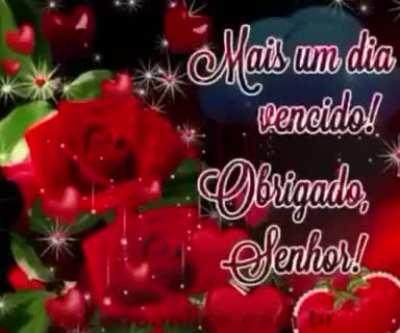 Mais um dia, Boa noite